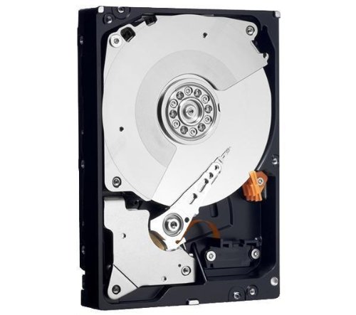 Western Digital WD Caviar Black 500 GB SATA Festplatte – Festplatten (500 GB, SATA, 7200 U/min, 3,5 Zoll, 32 MB, 6 Gbit/s) von WD