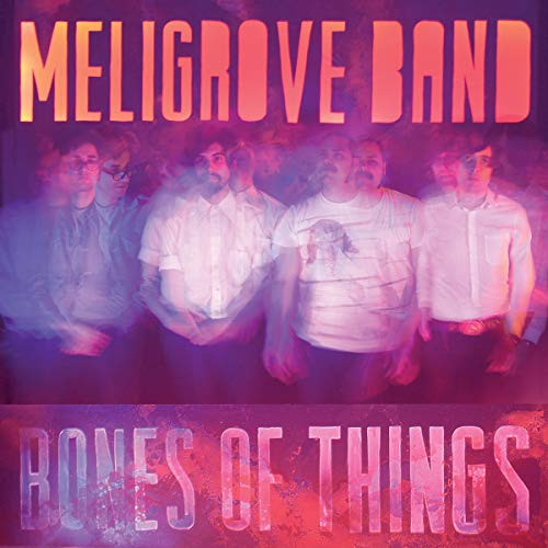 Bones of Things [Vinyl LP] von WE ARE BUSY BODIES