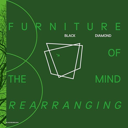 FURNITURE OF THE MIND REARRANGING [Analog] [Vinyl LP] von WE JAZZ