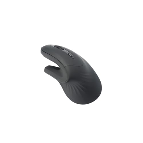 WE Ergonomische Maus, 2-in-1-Verbindung BT + 2,4 GHz, 5 Tasten und 1 DPI-Rad 800-1200-1600, schwarz, 2 AAA-Batterien enthalten von WE