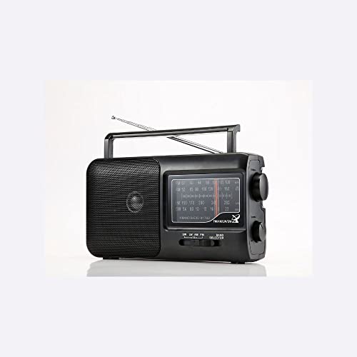 WE Tragbares Radio, große Wellen: FM/AM/SW/LW mit integriertem Lautsprecher, Externe Antenne, mit Tragegriff – Schwarz von WE