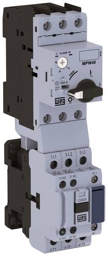WEG ODW3-B9-11D24-40C025 15835214 Direktstarter 230 V/AC WEG ODW3-B9-11D24-40C025 15835214 Direktstarter 230 V/AC von WEG
