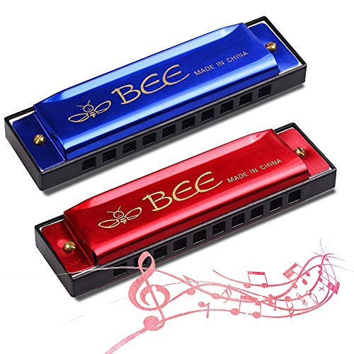 Mundharmonika,2 Stück Kinder Mundharmonika -10 Löcher mundharmonika Diatonisch - Mundharmonika C-Dur Major Blues Harmonika, für Anfänger/Profis mit Etui(Blau und Rot) von WELLXUNK