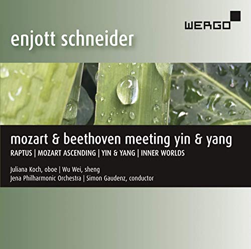 Mozart & Beethoven Meeting Yin & Yang von WERGO