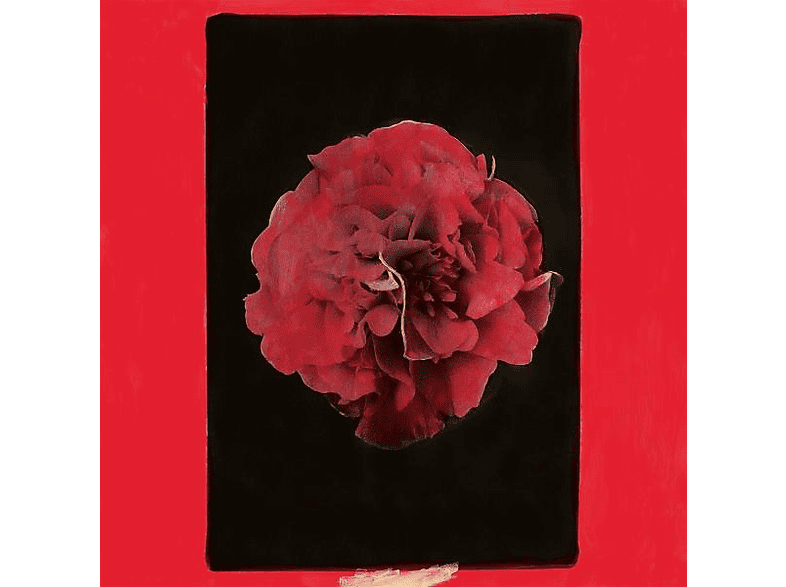 Activity - A Thousand Years In Another Way (Vinyl) von WESTERN VI