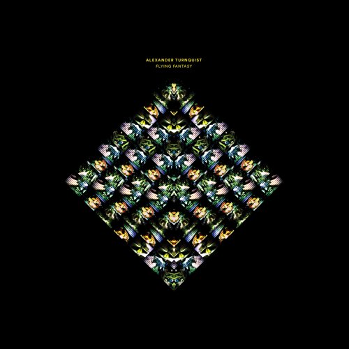 Flying Fantasy Flying Fantasy von WESTERN VINYL