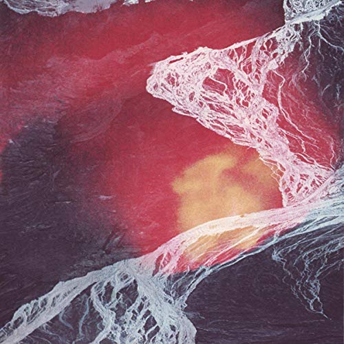 Light Science [Vinyl LP] von WESTERN VINYL