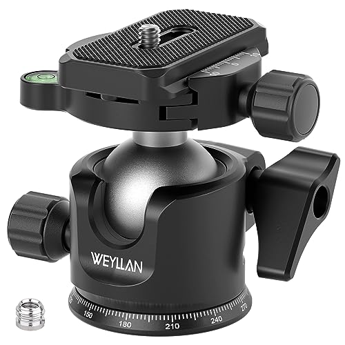 WEYLLAN Kugelkopf mit niedrigem Profil, mit 1/4 Zoll Schnellwechselplatte 36 mm Panorama-Stativkopf 360 Professioneller für DSLR-Kameras Stative Einbeinstative Camcorder-Schieber Max. Belastung 15 kg WEYLLAN Kugelkopf mit niedrigem Profil, mit 1/4 Zoll Schnellwechselplatte 36 mm Panorama-Stativkopf 360 Professioneller für DSLR-Kameras Stative Einbeinstative Camcorder-Schieber Max. Belastung 15 kg von WEYLLAN