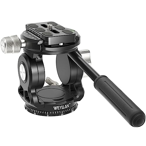 WEYLLAN Stativkopf für Kamera mit Arca Swiss Schnellwechselplatte, Flüssigkeitskopf-Stativ für DSLR-Kamera, Canon, Nikon, Sony, Camcorder, Metall-Panorama-Video-Stativ, Flüssigkeitskopf, WEYLLAN Stativkopf für Kamera mit Arca Swiss Schnellwechselplatte, Flüssigkeitskopf-Stativ für DSLR-Kamera, Canon, Nikon, Sony, Camcorder, Metall-Panorama-Video-Stativ, Flüssigkeitskopf, von WEYLLAN