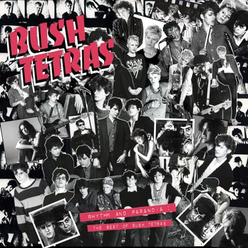 Rhythm and Paranoia: the Best of Bush Tetras [Vinyl LP] von Wharf Cat Records