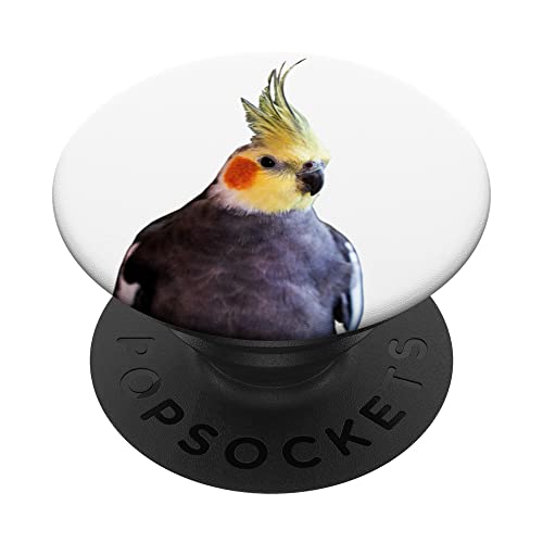 Polly Wanna Cracker Papagei PopSockets mit austauschbarem PopGrip Polly Wanna Cracker Papagei PopSockets mit austauschbarem PopGrip von WHITE BEARD Art Gifts Clothes Accessories