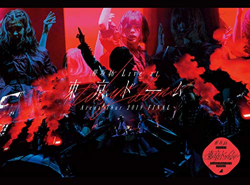 【Amazon.co.jp限定】欅坂46 LIVE at 東京ドーム ~ARENA TOUR 2019 FINAL~(初回生産限定盤)(DVD)(ミニクリアファイル(Amazon.co.jp絵柄)付) von WHJC