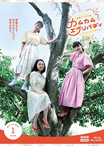 連続テレビ小説 カムカムエヴリバディ 完全版 ブルーレイ BOX1 [Blu-ray] von WHJC