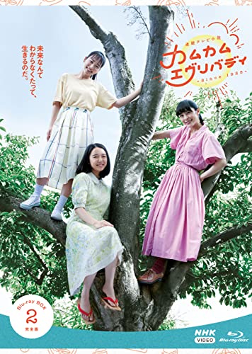 連続テレビ小説 カムカムエヴリバディ 完全版 ブルーレイ BOX2 [Blu-ray] von WHJC