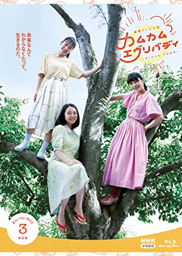 連続テレビ小説 カムカムエヴリバディ 完全版 ブルーレイ BOX3 [Blu-ray] von WHJC