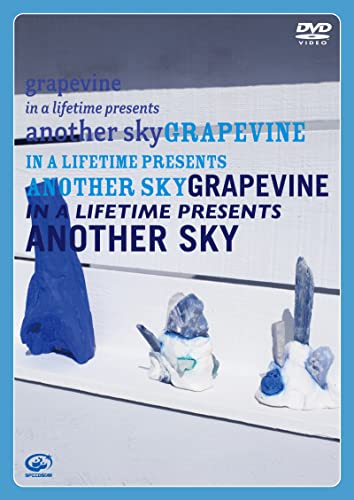 in a lifetime presents another sky [DVD + CD] von WHJC