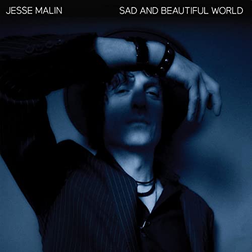 Sad and Beautiful World [Vinyl LP] von WICKED COOL RECORDS
