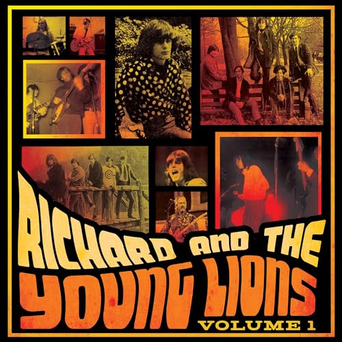 Volume 1 [Vinyl LP] von WICKED COOL RECORDS