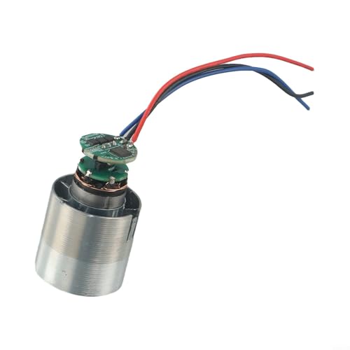 1*Losenes Gleichstrom-Motor Hochgeschwindigkeitsbläsermotor Verschiedene Branchen (12V) von WIIYENA