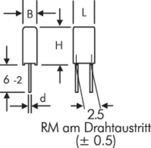 Wima MKS0C021000B00KSSD MKS-Folienkondensator radial bedrahtet 0.01 µF 63 V/DC 20% 2.5mm (L x B x H von WIMA