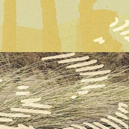 Terrapin EP [Vinyl LP] von WISDOM TEETH