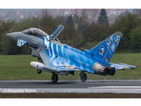 Model Set Eurofighter Typhoon'Bavarian Tiger 2021' Model Set Eurofighter Typhoon'Bavarian Tiger 2021' von WITTMAX