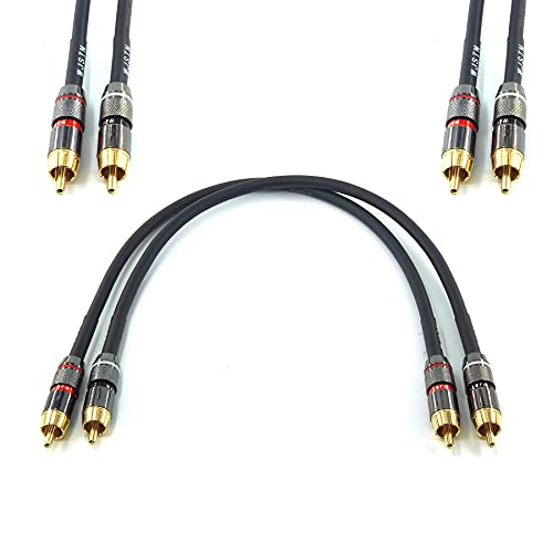 WJSTN Cinch-auf-Cinch-Kabel, 30 cm, Stereo-Audiokabel, 1 RCA auf 1 Cinch-Kabel, kurz, für Lautsprecher, AMP, Plattenspieler, Receiver, Heimkino, Subwoofer, doppelt geschirmt, 2 Stück von WJSTN