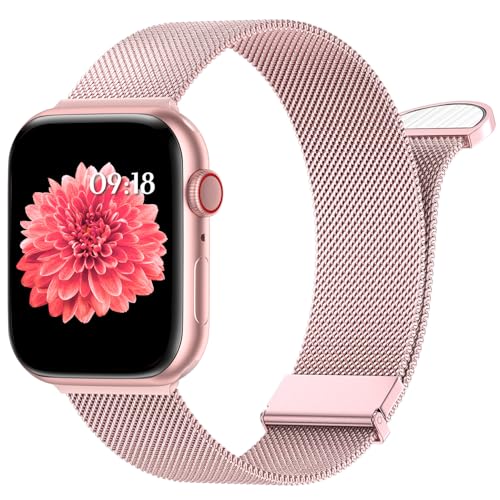 WLQIPXIN Armband Kompatibel mit Apple Watch Armband 40mm 41mm 38mm 42mmm 44mm 45mm 49mm, Dual Magnetisch Einstellbar Edelstahl Metall Armbänder für iWatch Ultra/Ultra 2 Series 9 8 7 6 SE 5 4 3 2 1 von WLQIPXIN