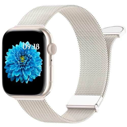 WLQIPXIN Armband Kompatibel mit Apple Watch Armband 40mm 41mm 38mm 42mmm 44mm 45mm 49mm, Dual Magnetisch Einstellbar Edelstahl Metall Armbänder für iWatch Ultra/Ultra 2 Series 9 8 7 6 SE 5 4 3 2 1 von WLQIPXIN