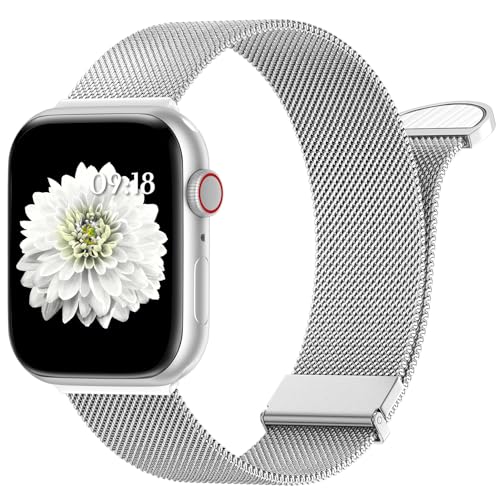 WLQIPXIN Armband Kompatibel mit Apple Watch Armband 40mm 41mm 38mm 42mmm 44mm 45mm 49mm, Dual Magnetisch Einstellbar Edelstahl Metall Armbänder für iWatch Ultra/Ultra 2 Series 9 8 7 6 SE 5 4 3 2 1 von WLQIPXIN