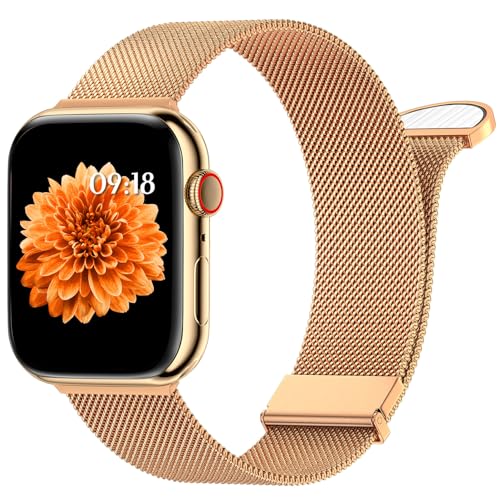 WLQIPXIN Armband Kompatibel mit Apple Watch Armband 40mm 41mm 38mm 42mmm 44mm 45mm 49mm, Dual Magnetisch Einstellbar Edelstahl Metall Armbänder für iWatch Ultra/Ultra 2 Series 9 8 7 6 SE 5 4 3 2 1 von WLQIPXIN