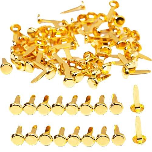 100 Stück Goldene Musterbeutelklammern,Briefklammern,Klammern Metall Rundkopfklammern,Brads Musterklammern für Scrapbooking,Bastelklammern,Büro,Schule,Papier Verschlüsse und Handwerk DIY Projekte von WLVinson