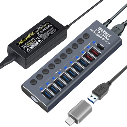 WLXKJY Aluminium USB hub 10 Port aktiv (7-Port-USB 3.0-Hochgeschwindigkeitsdatenübertragung und 3-Port-Aufladung) mit Netzteil 60W (12 V/5 A), unabhängiger Schalter und 1-Port-PD Aufladen von WLXKJY