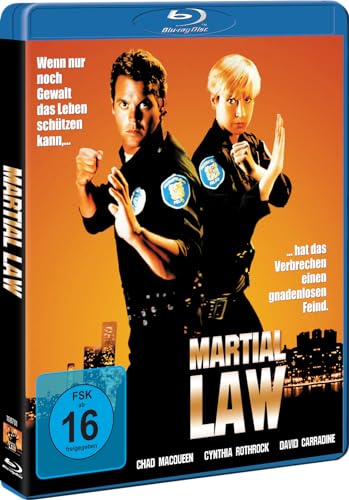Martial Law 1 - Action mit Cynthia Rothrock - Explosives Martial Arts Abenteuer [Blu-ray] von WME Home Entertainment