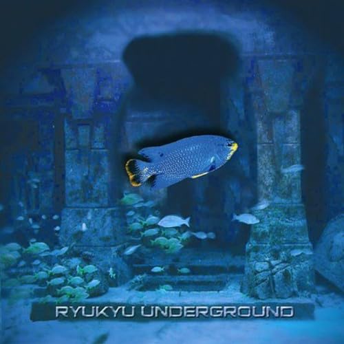 Ryukyu Underground von WORLD MUSIC NETWORK