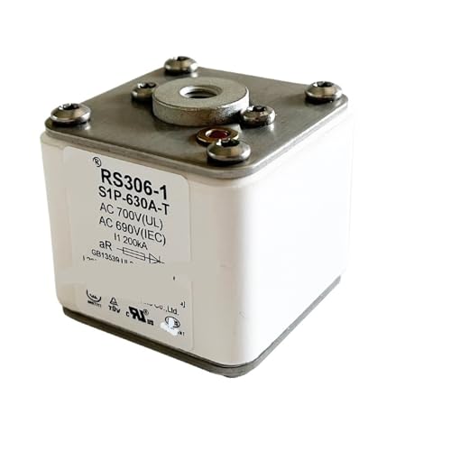 1 Stück RS306-1-S1P 360 A 690 V Sicherung von WOXEVOLM