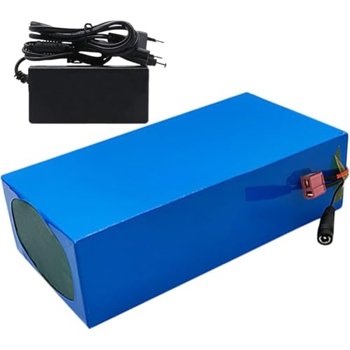 48V 20Ah 13S6P Lithium-Ionen-Akku,E-Bike Lithium-Ionen-Akkupack,Ideal Für Elektrofahrrad,Mit Ladegerät Eingebauter BMS-Schutz(Small) von WPXXXW