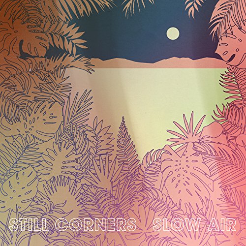 Slow Air [Vinyl LP] von WRECKING LIGHT R