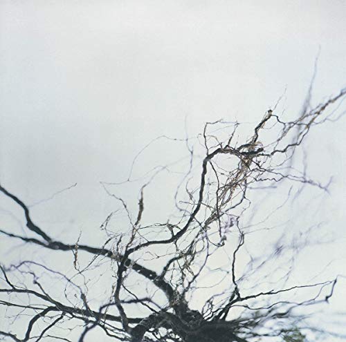 Nova+4 (2lp) [Vinyl LP] von WRWTFWW