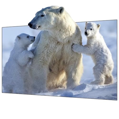 2023 Wupro2023 New Grey Crystal Frame Screen ALR Home Cinema 16:9 70 inch Screen 2023 Wupro2023 New Grey Crystal Frame Screen ALR Home Cinema 16:9 70 inch Screen von WUPRO