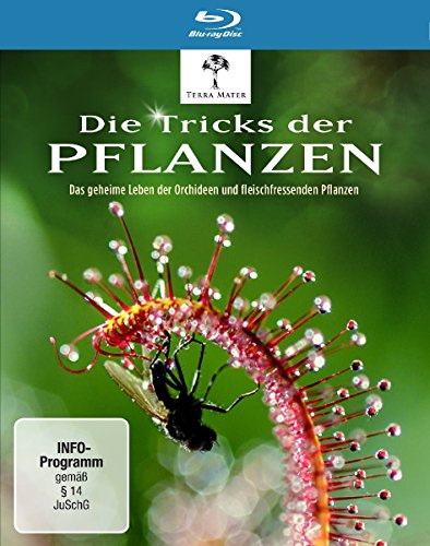 Die Tricks der Pflanzen [Blu-ray] von WVG Medien GmbH