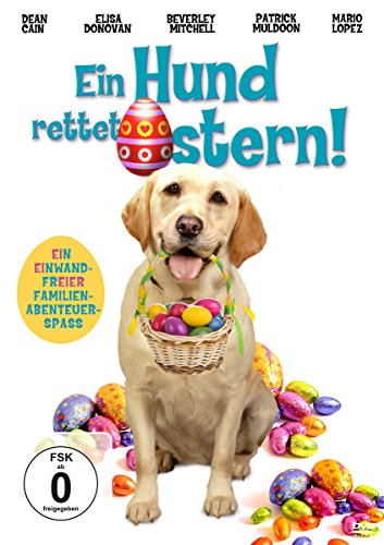 Ein Hund rettet Ostern von WVG Medien