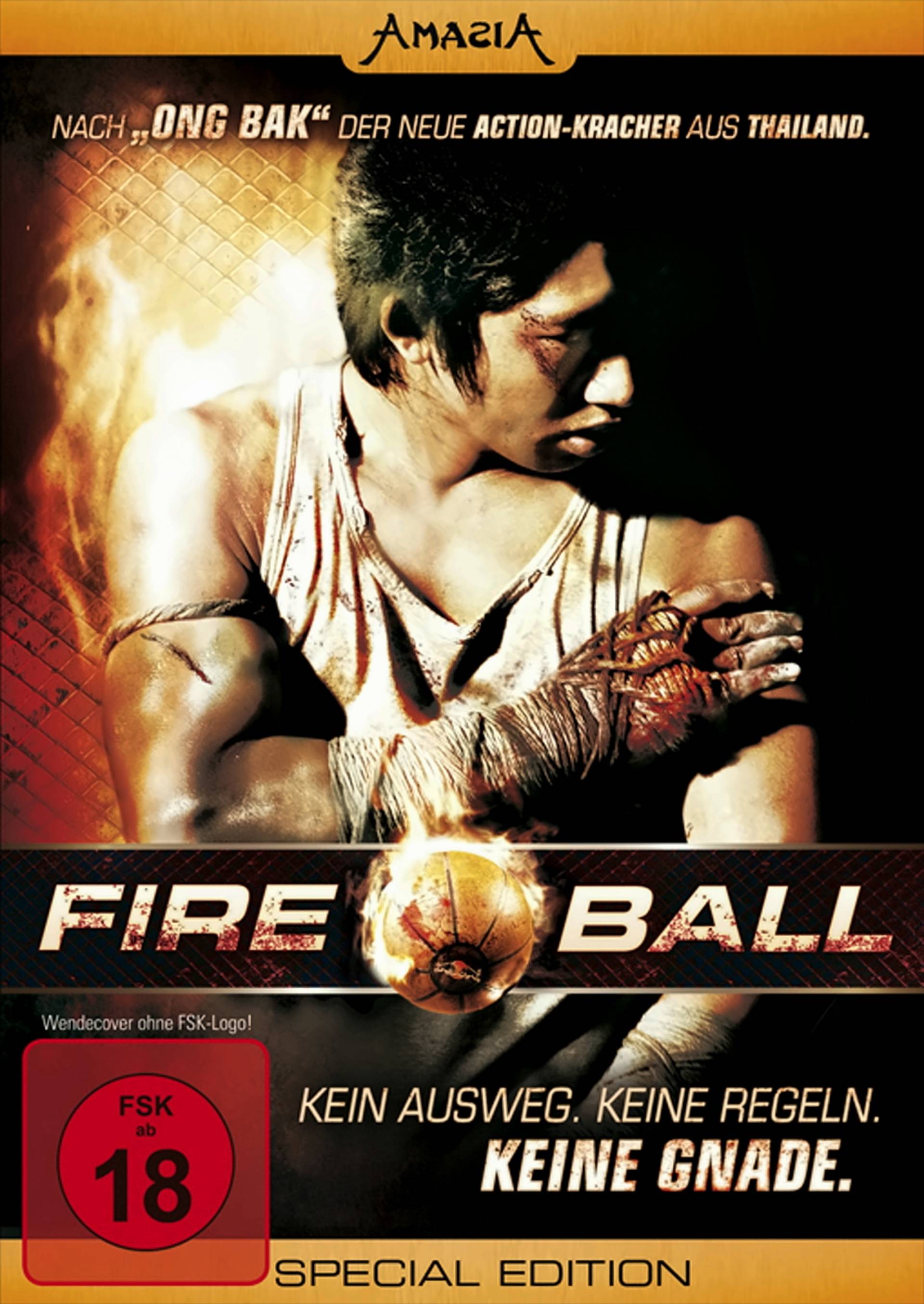 Fireball (Special Edition) von WVG Medien