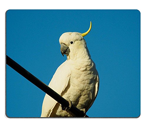 WYRUJYU Mousepad Silberreiher Naturkautschuk Material von WYRUJYU