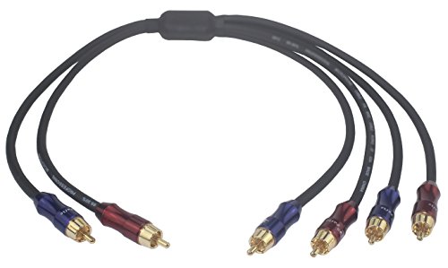 Vergoldeter Vergoldeter von WYVERN AUDIO