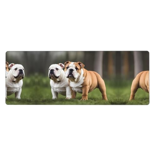 Mauspad mit englischer Bulldogge, bedruckt, extra groß, 30,5 x 80 cm, für Büro, Spielen und Lernen, langlebig, bequem und umweltfreundlich Mauspad mit englischer Bulldogge, bedruckt, extra groß, 30,5 x 80 cm, für Büro, Spielen und Lernen, langlebig, bequem und umweltfreundlich von WZYWHJ