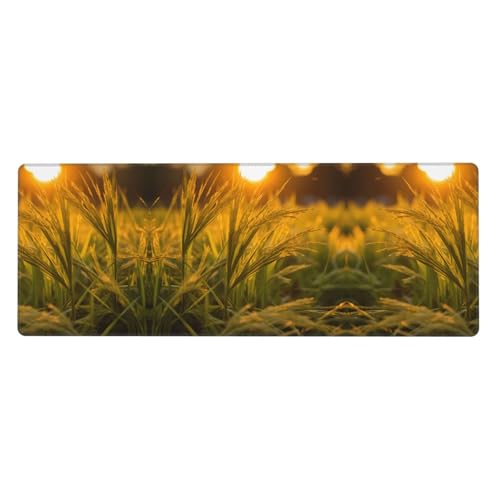 The Sunset Wheat Printed Extra Large Mouse Pad 30.5x80.0 cm for Office, Gaming and Learning - Durable, Comfortable and Environmentally Friendly The Sunset Wheat Printed Extra Large Mouse Pad 30.5x80.0 cm for Office, Gaming and Learning - Durable, Comfortable and Environmentally Friendly von WZYWHJ
