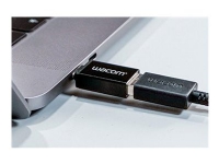 Wacom - USB-Adapter - 24-polig USB-C (han) bis USB (hun) von Wacom