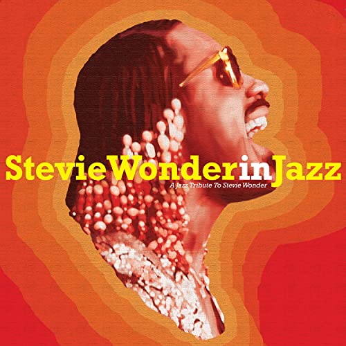 Stevie Wonder in Jazz von Wagram / Indigo