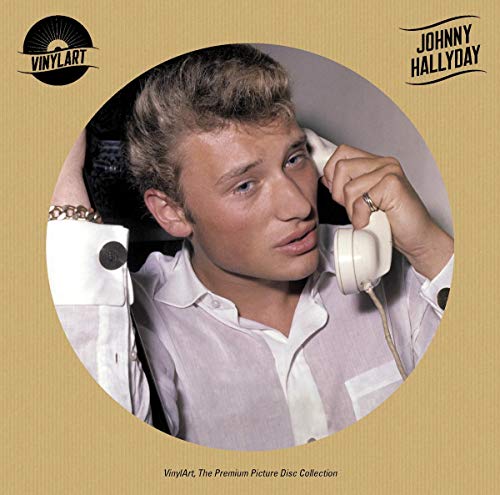 Vinylart,the Premium Picture Disc Collection [Vinyl LP] von Wagram / Indigo
